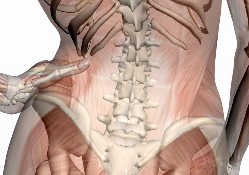 dor na coluna lombar